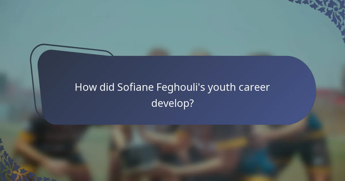How did Sofiane Feghouli's youth career develop?