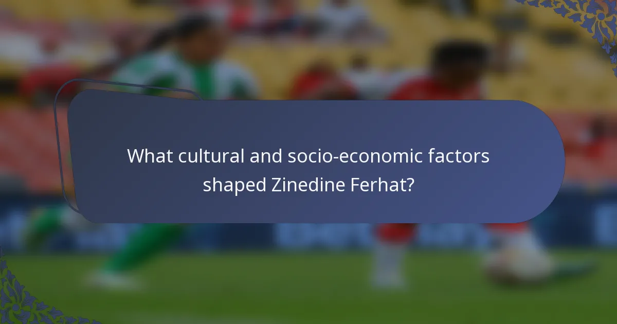 What cultural and socio-economic factors shaped Zinedine Ferhat?