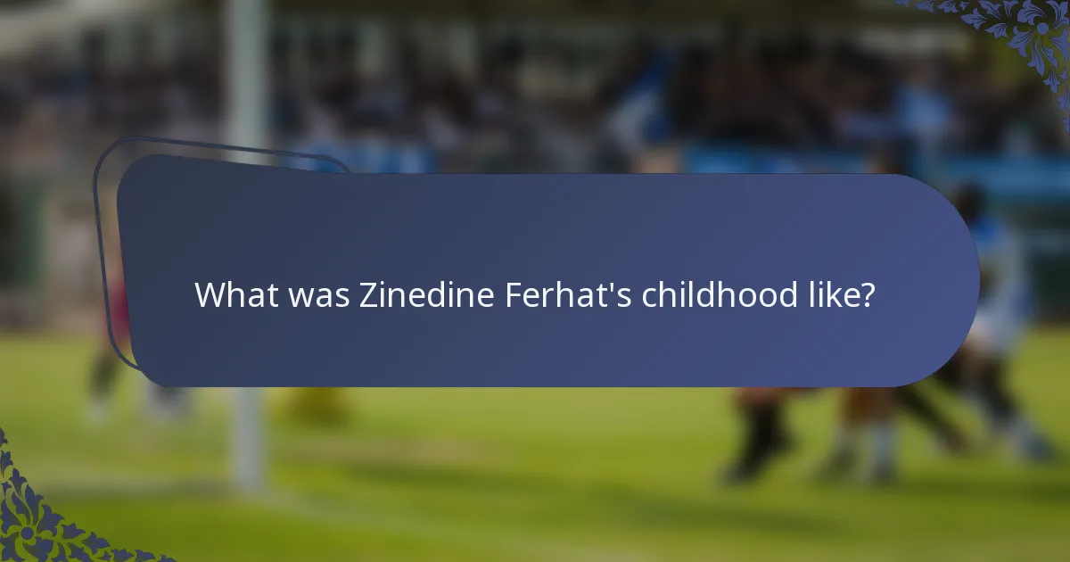 What was Zinedine Ferhat's childhood like?